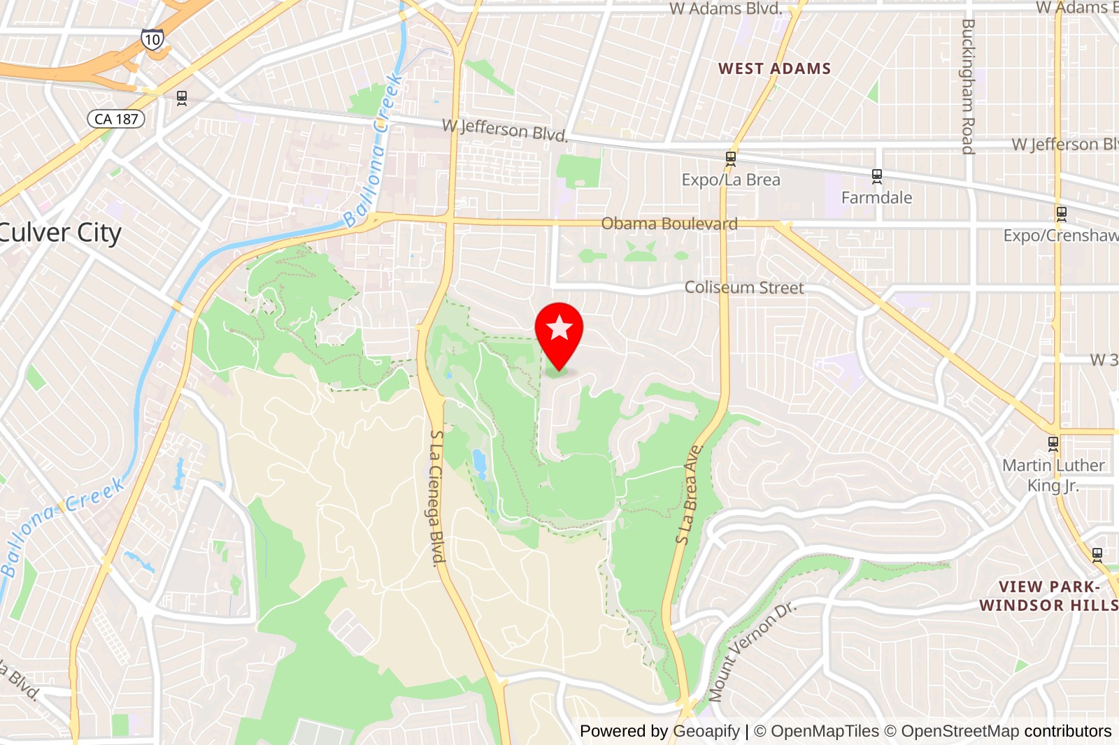 5 Best Flower Wall Rental Los Angeles for Elegant Event Decor Solutions 5 v2 15xkkn miu7h